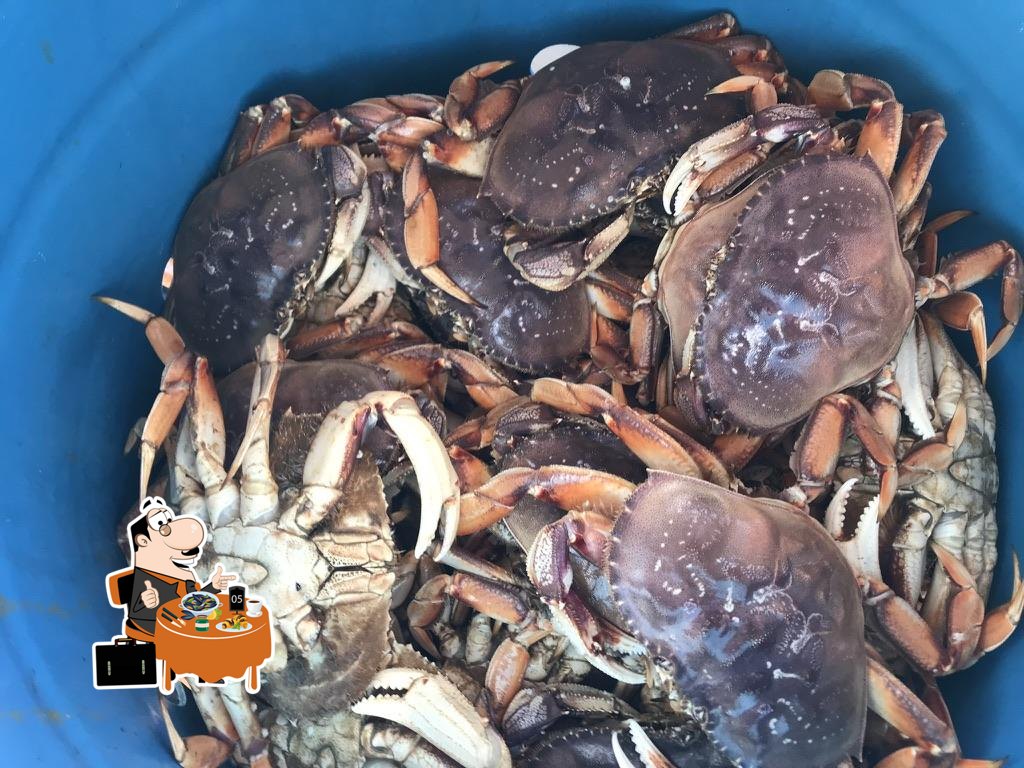 Little Dory Seafood Co. LLC