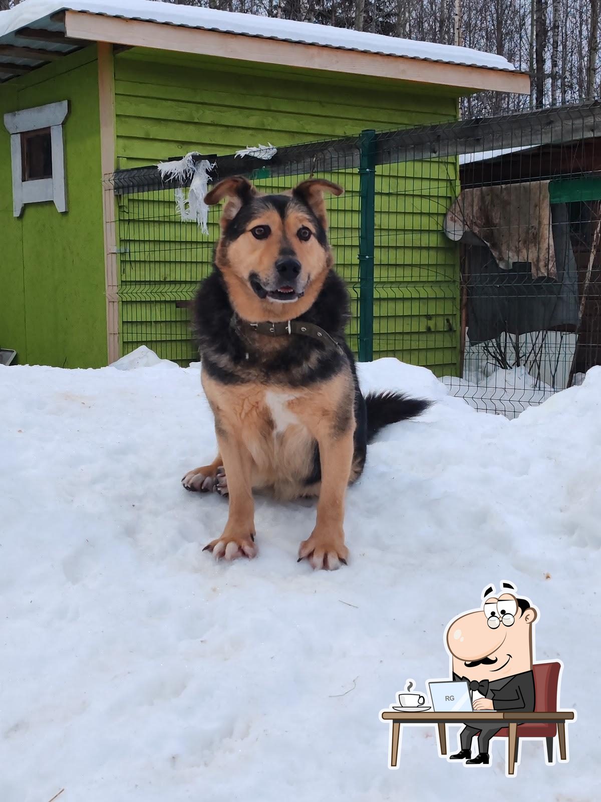 Лесхоз
