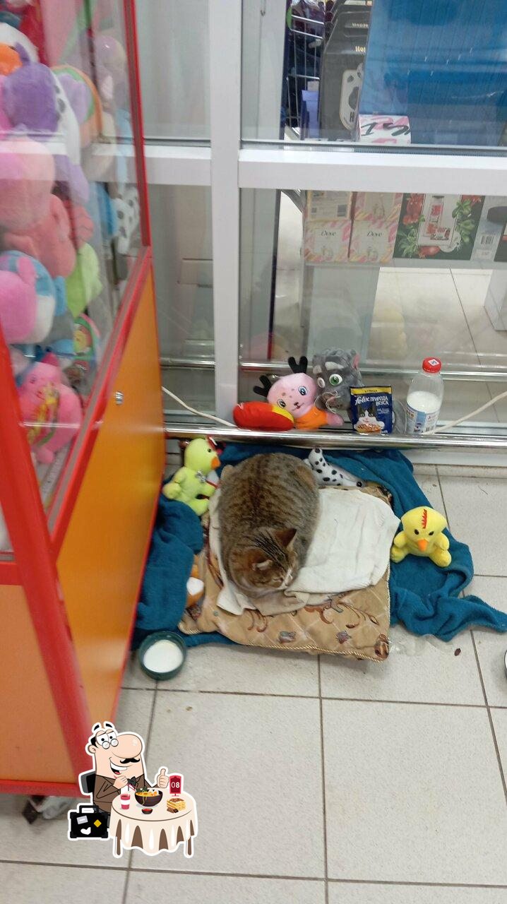 Магнит