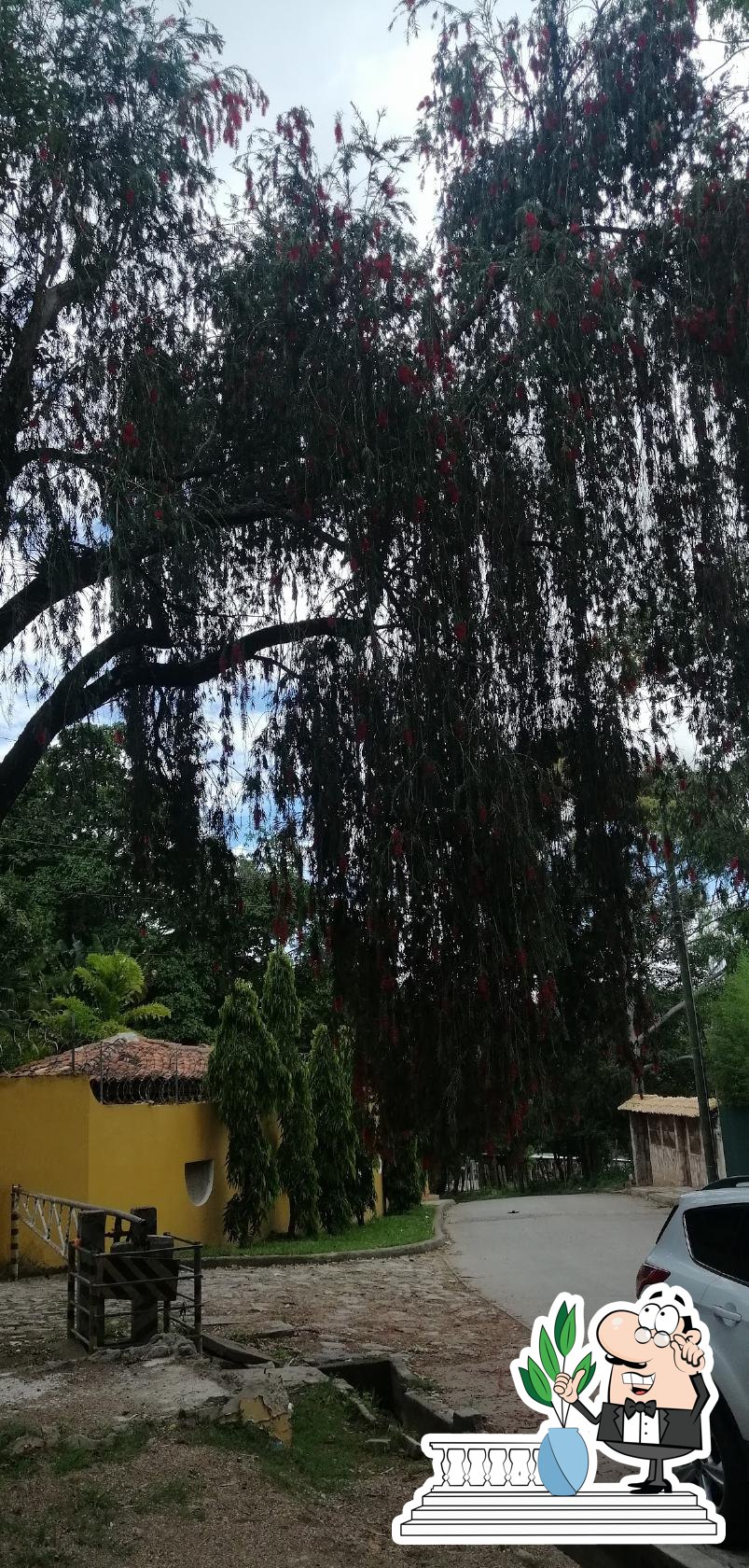 Restaurante Típicos Los Mangos