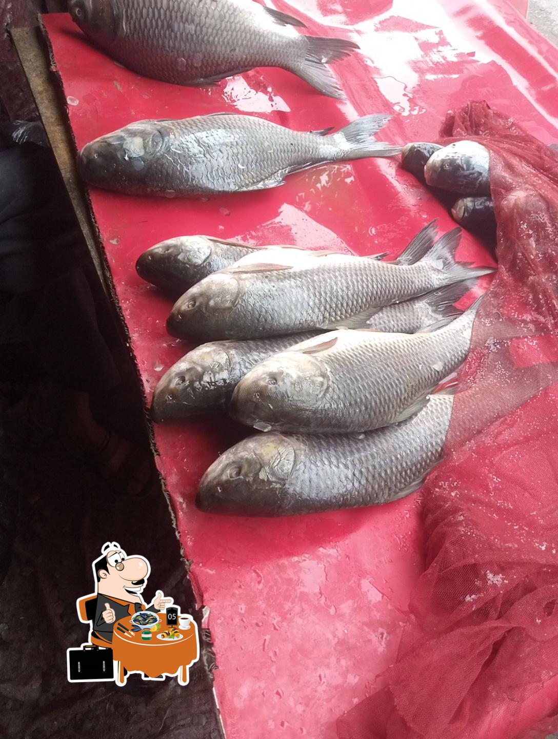 Charsadda Fish Center