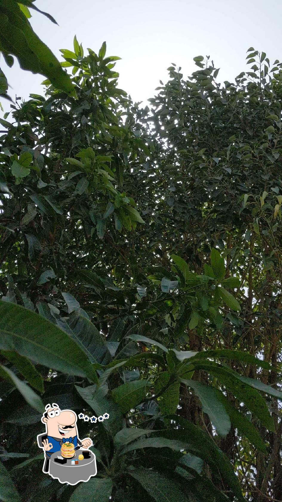Qambrani Lodge