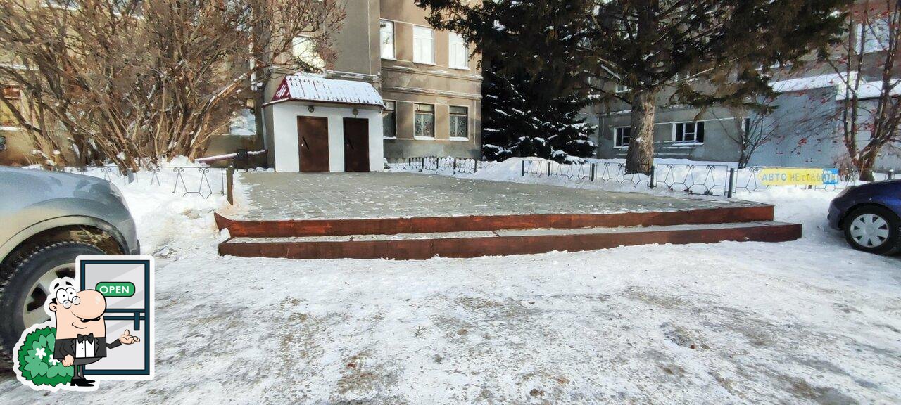 Весёлый тюлень