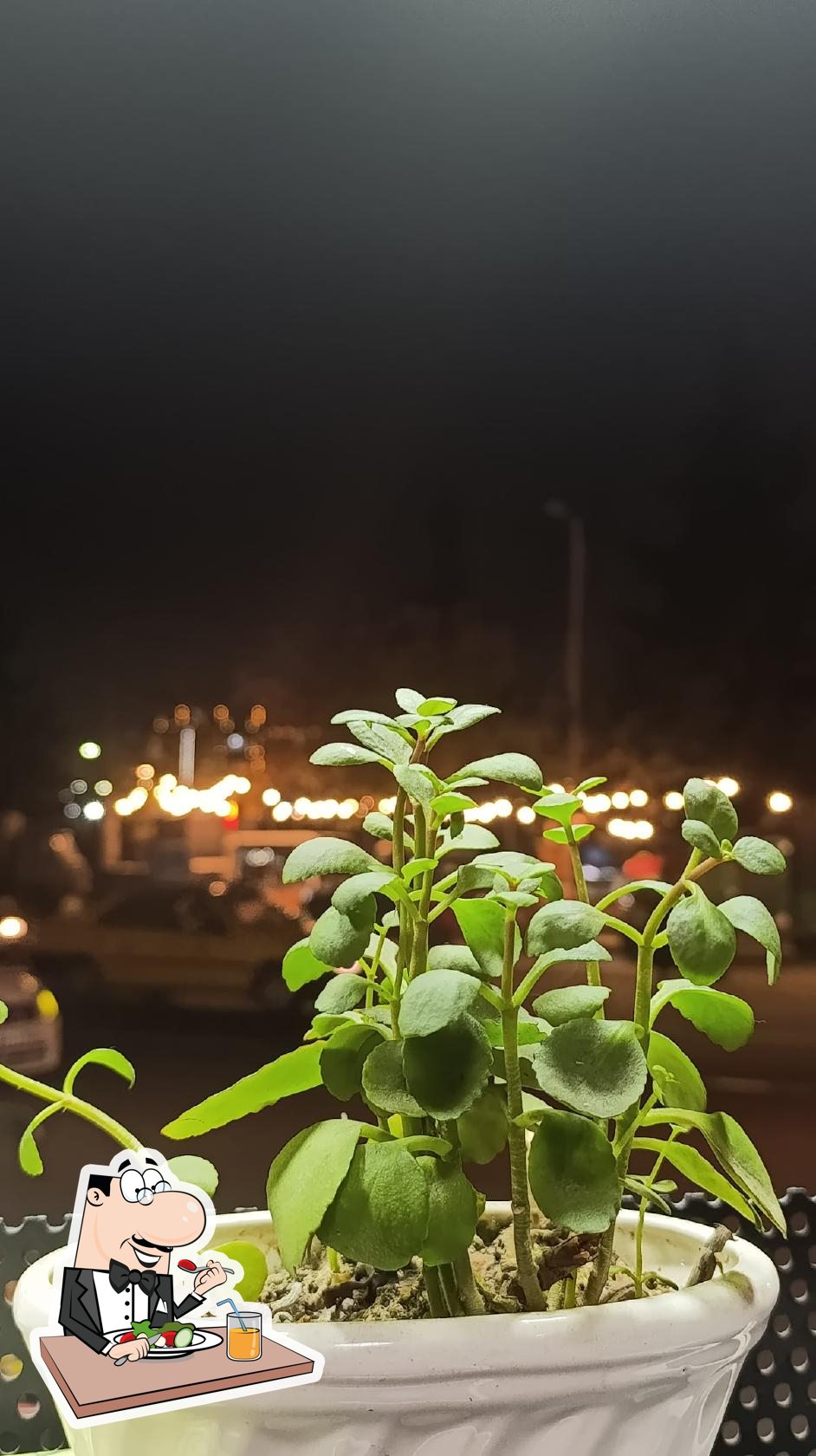 چیکن میت