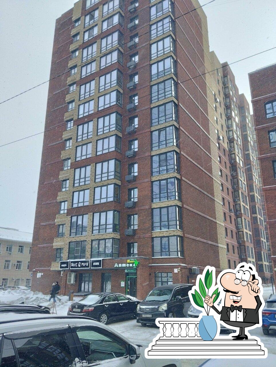 Живика