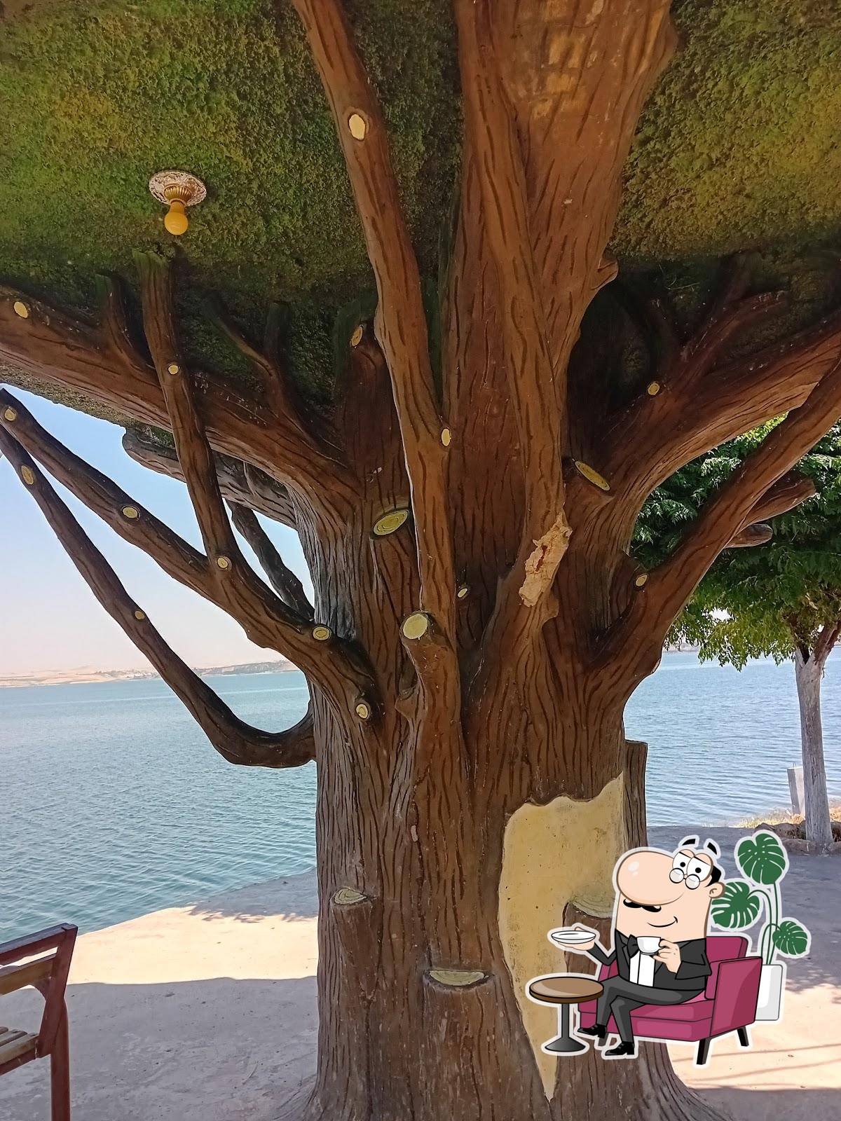 نهر الفرات
