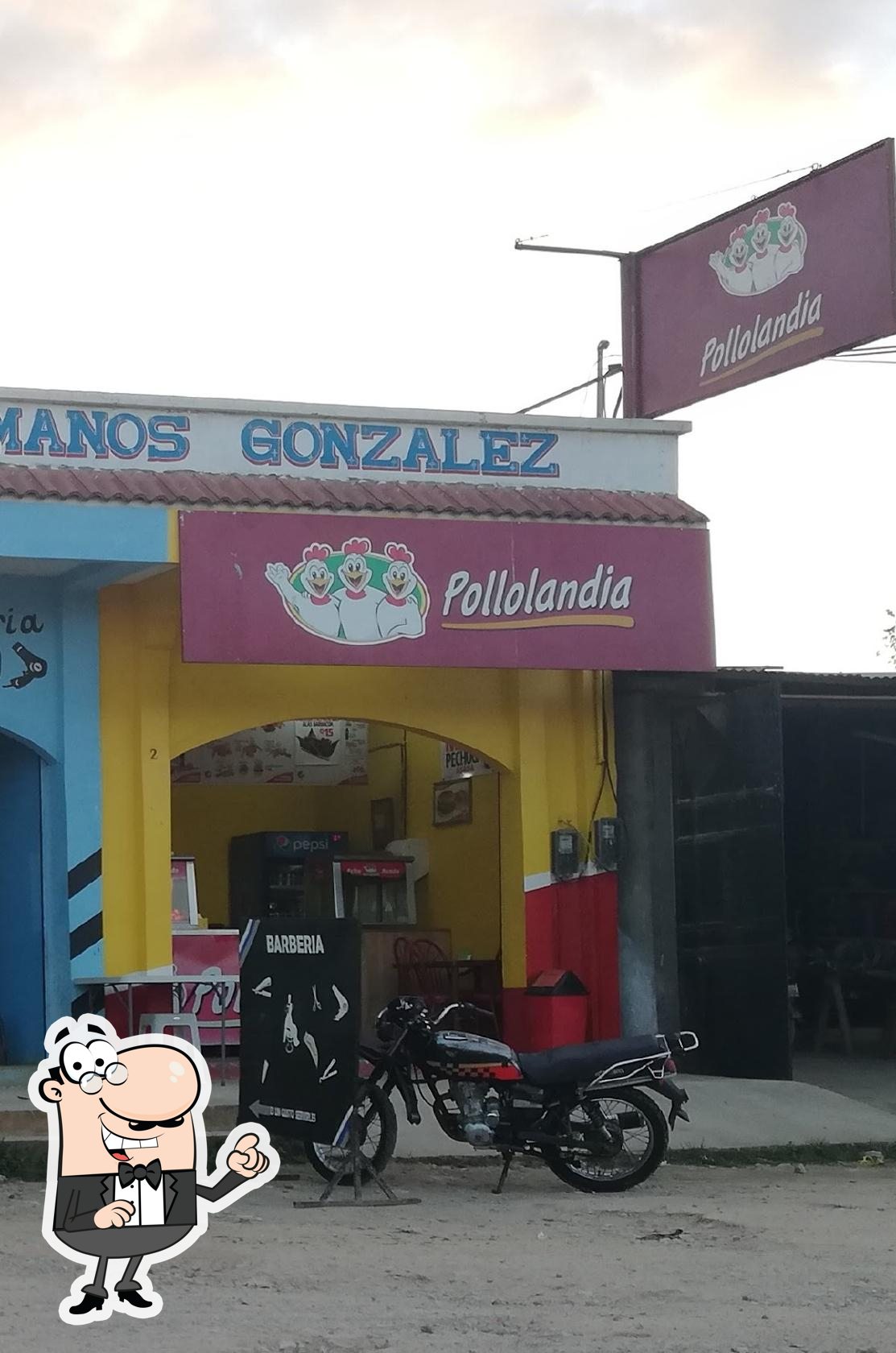 Pollo Landia