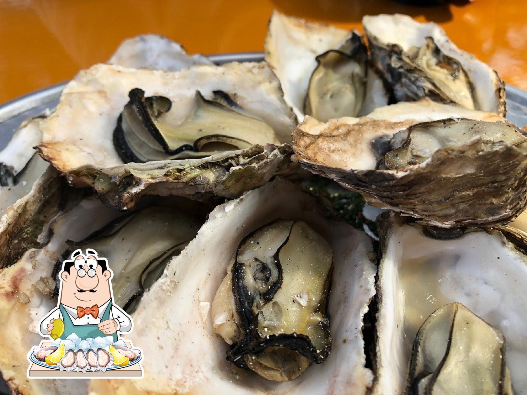 釣船 孝志丸