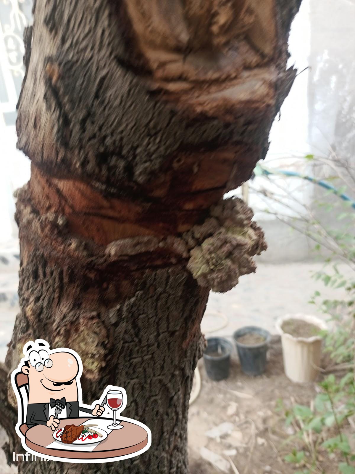 شط العرب