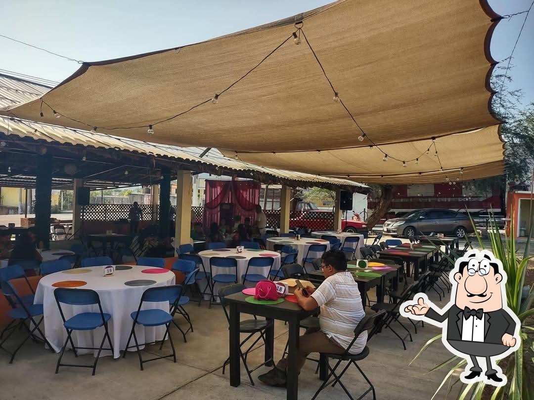 La Palapa Del Bicho