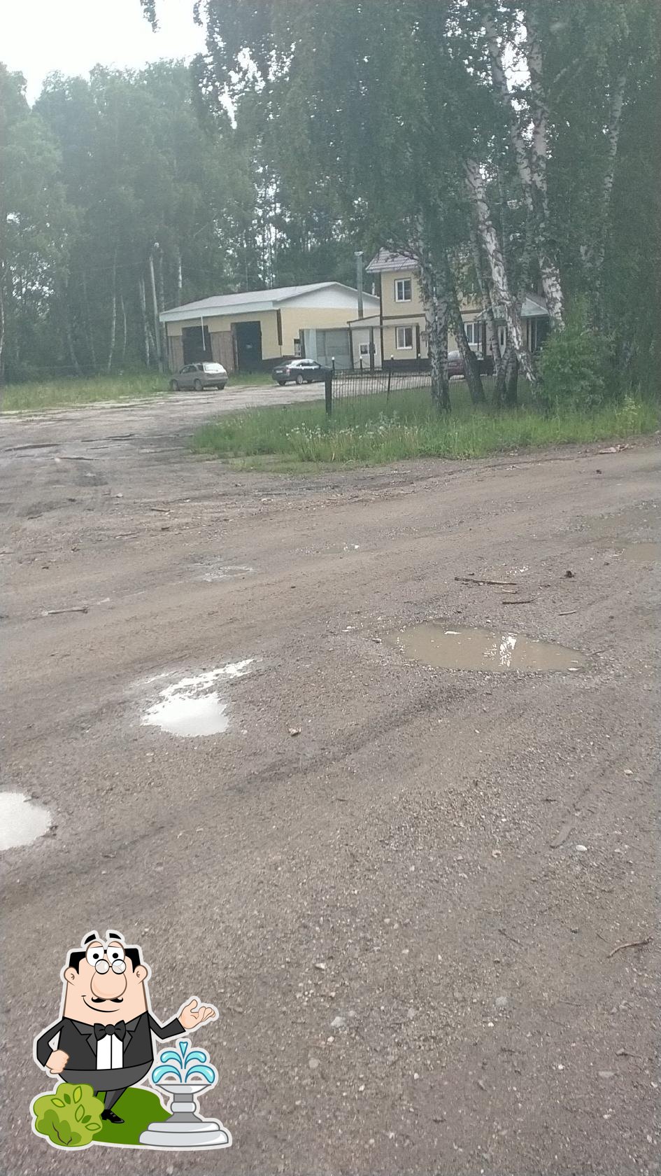 Берёзовая роща