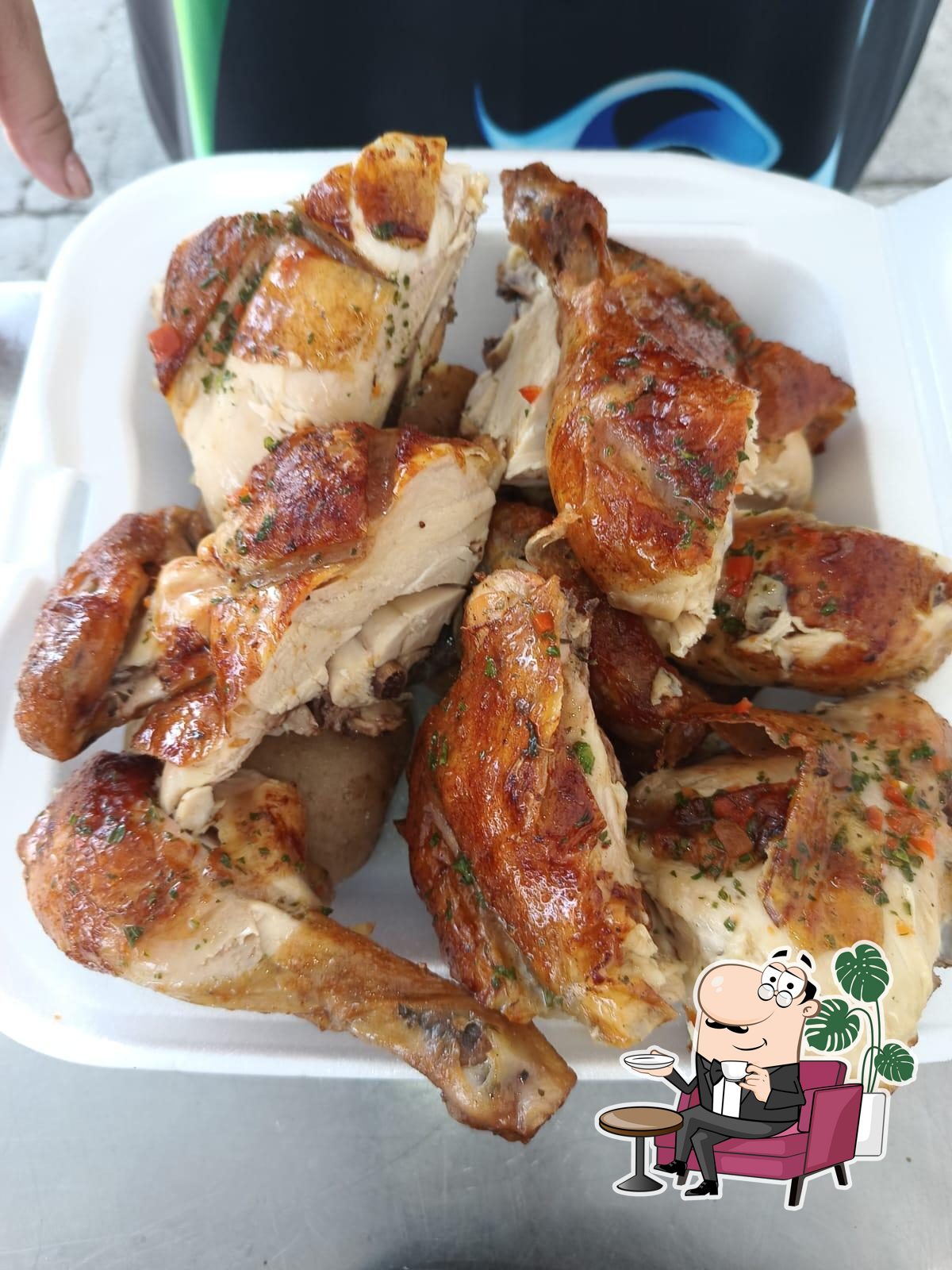 Tingo Pollo