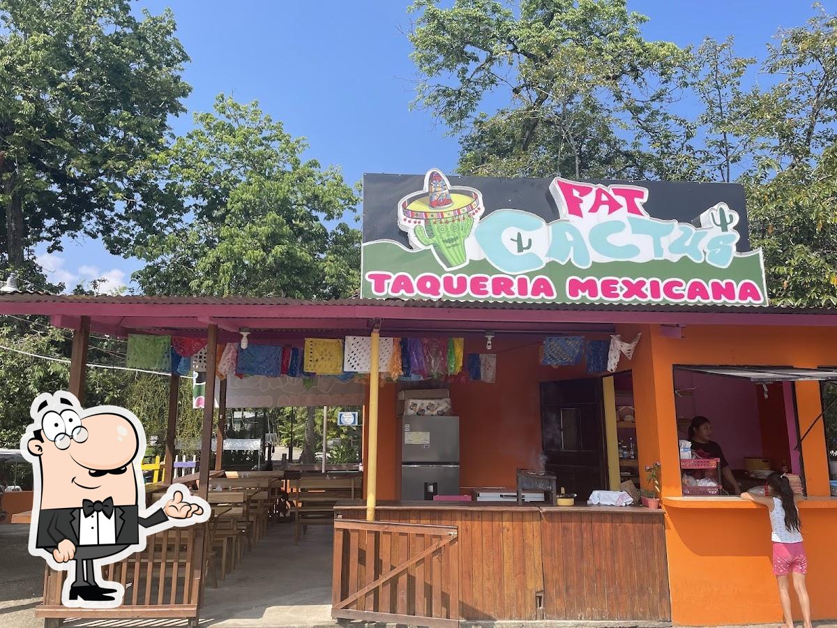 Fat Cactus