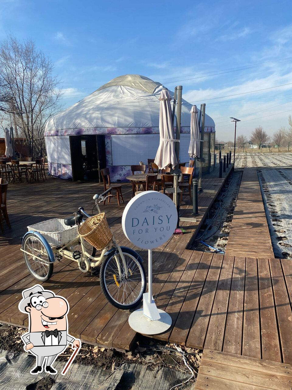 Daisy Yurt