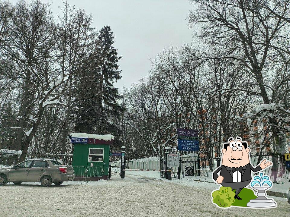 Зеленая роща