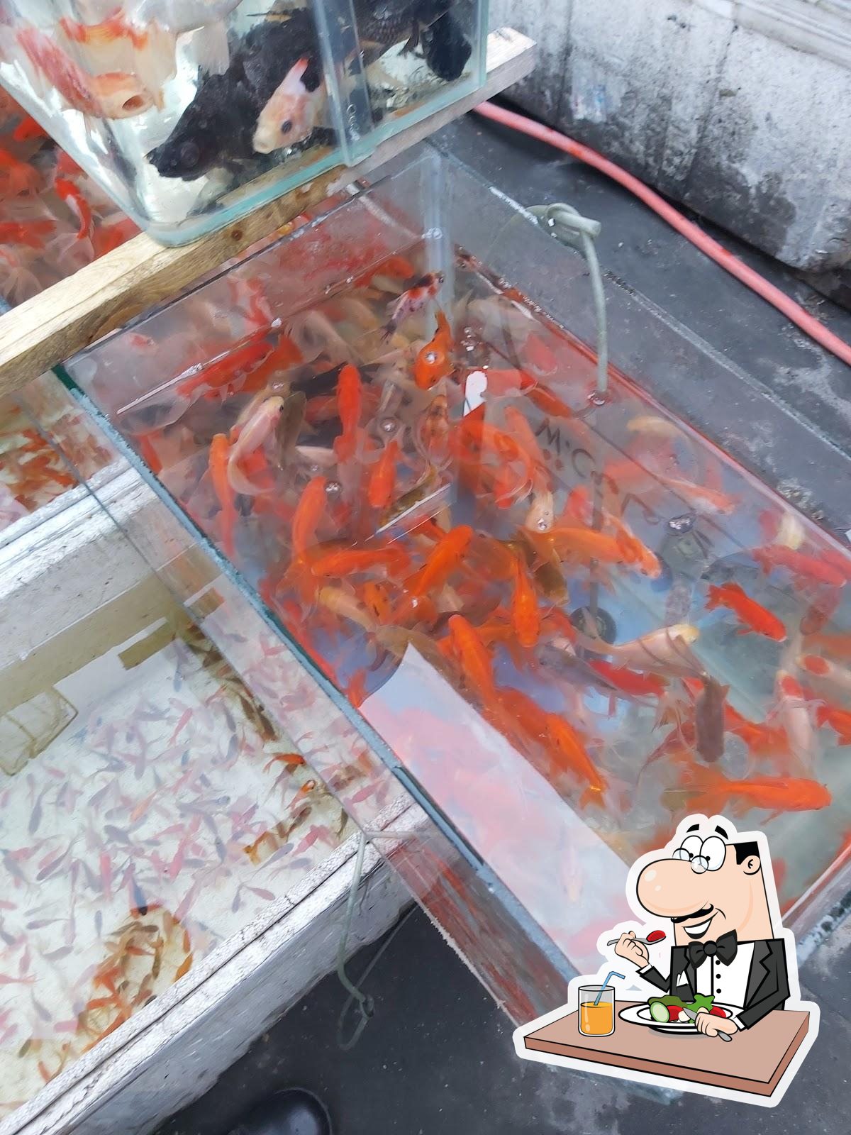 Alwa Fish Jawadain Abu Haidar