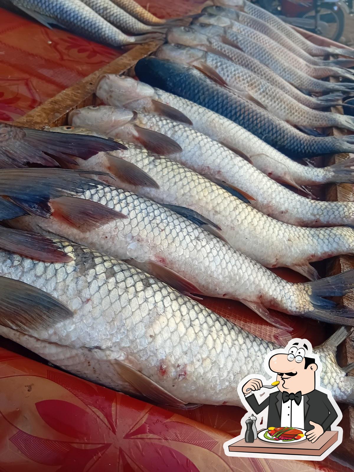 Rajput Fish Point & Restaurant