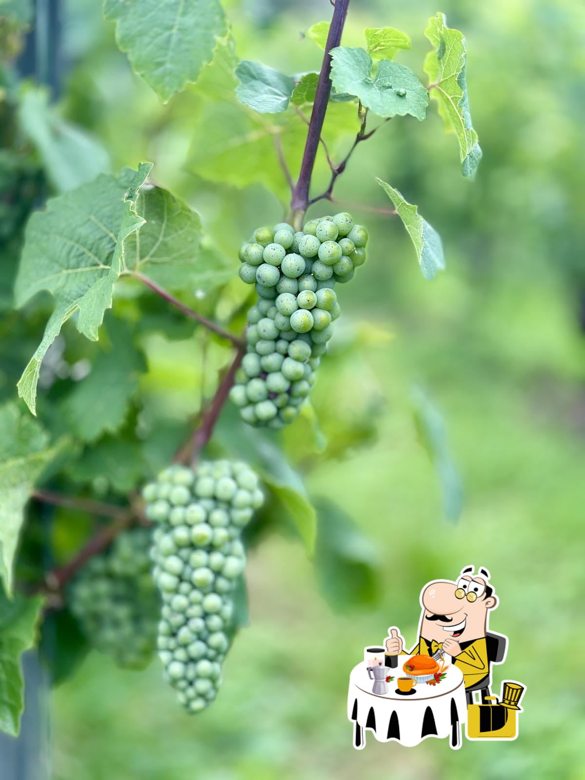 Zell Mosel