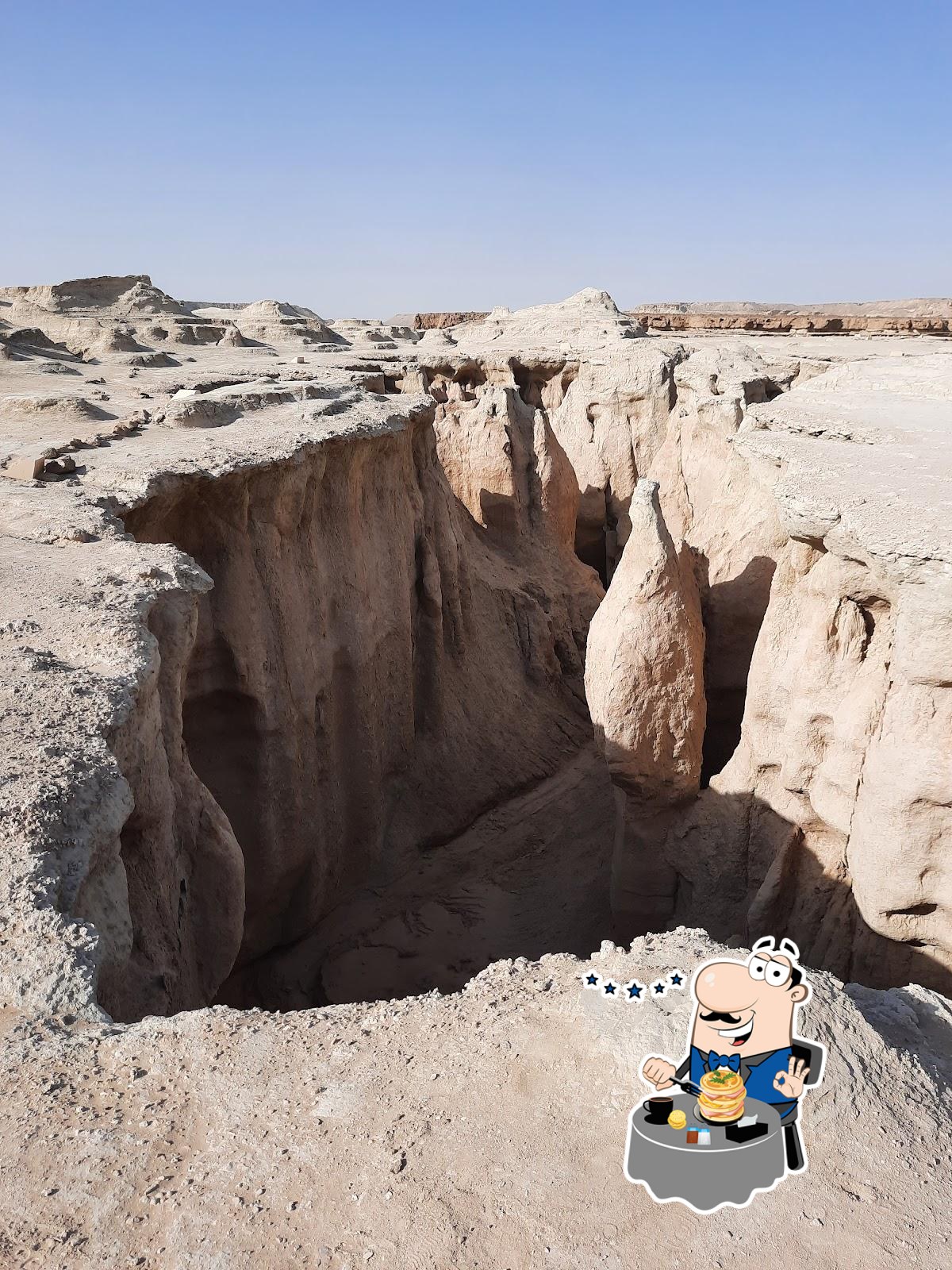 سیتی فلافل