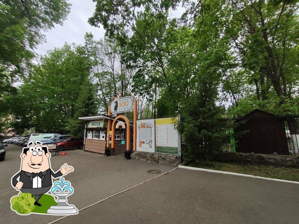 У тигрёнка