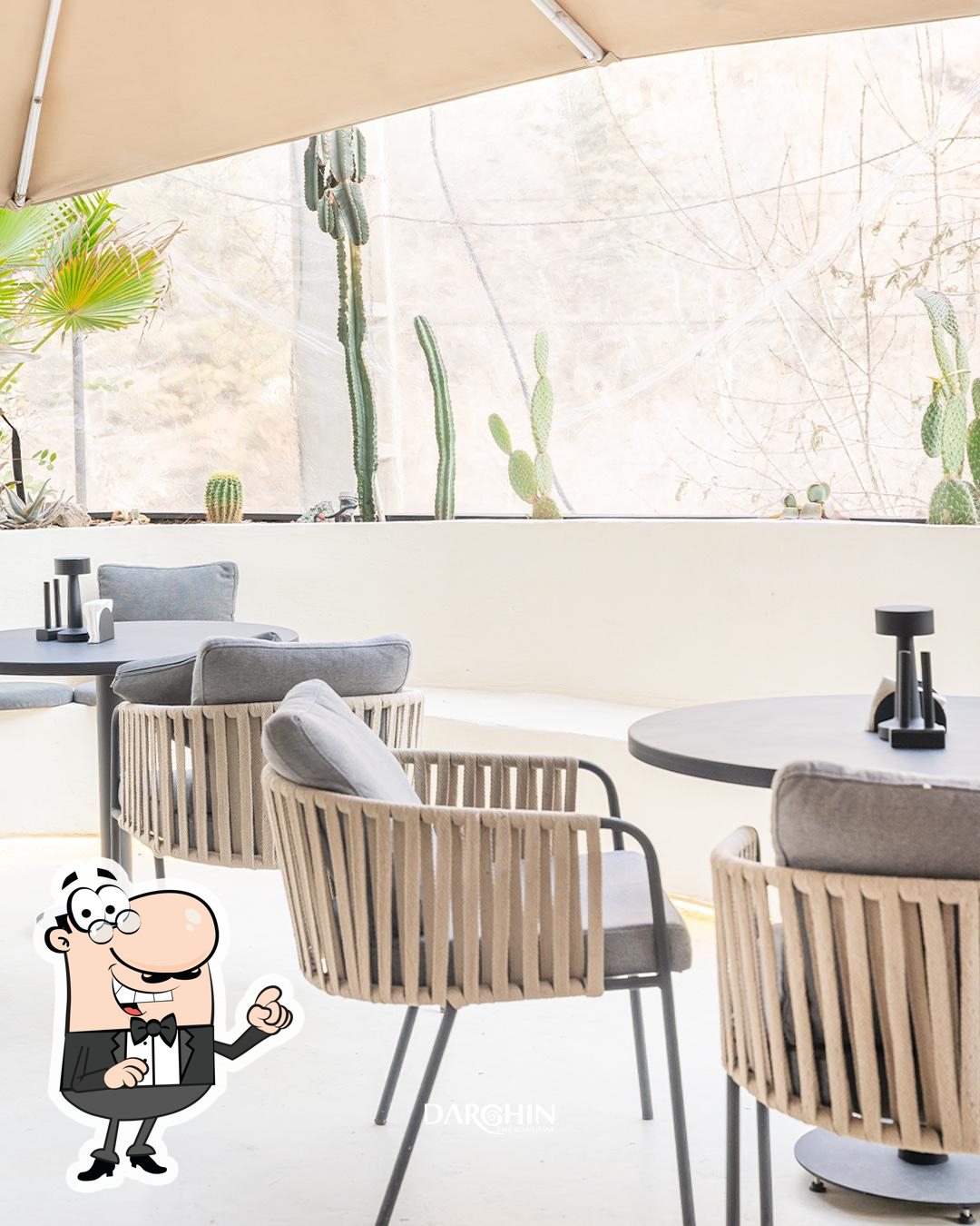 darchin cafe resturant