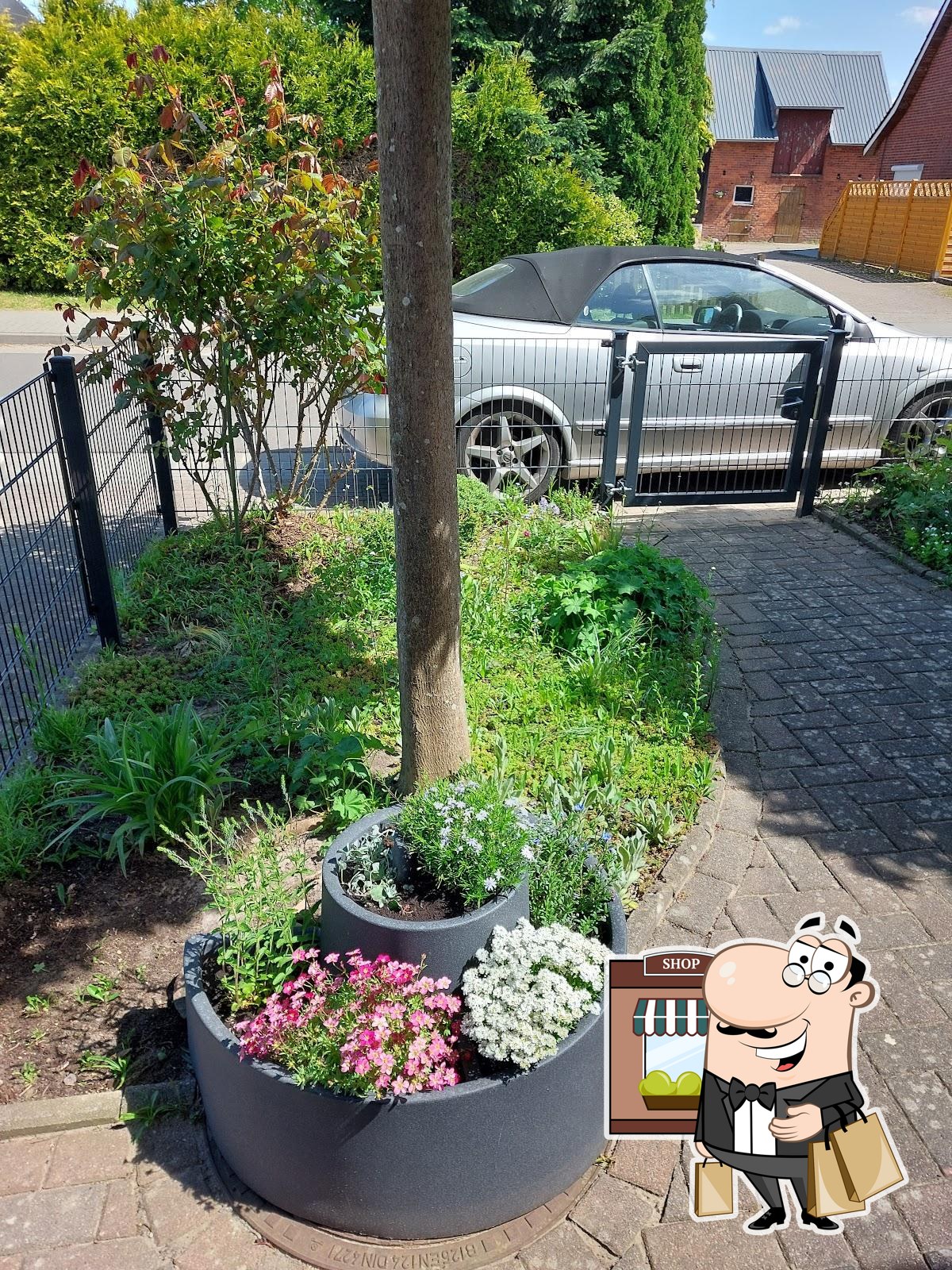 Weltbeste Rühreiküche