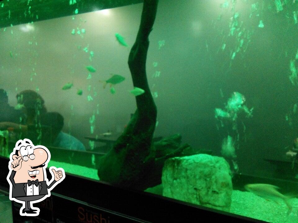Sushi Pulse