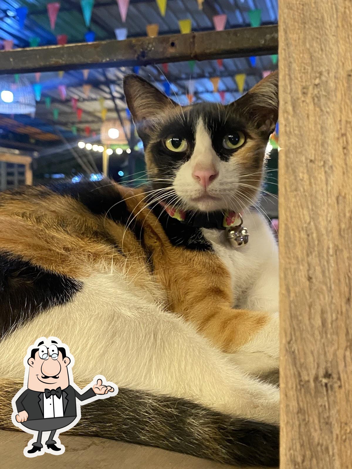 หญิง ข้าวต้มกุ๊ย สาขา 9