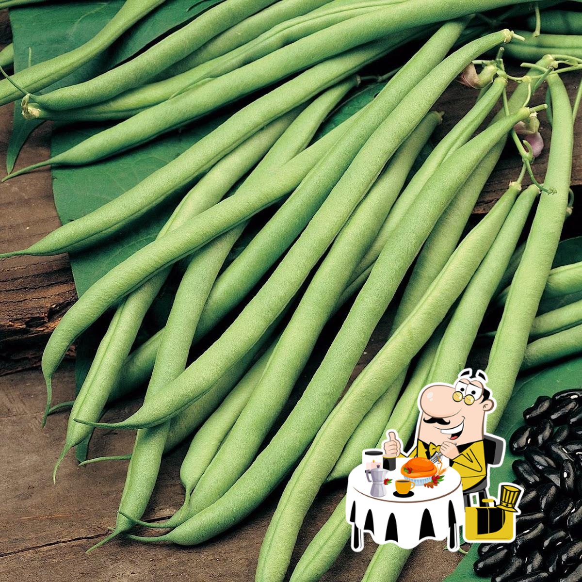 تهیه غذا حاجی ناصرفتاحی