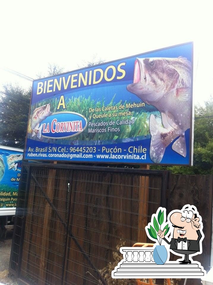 La Corvinita
