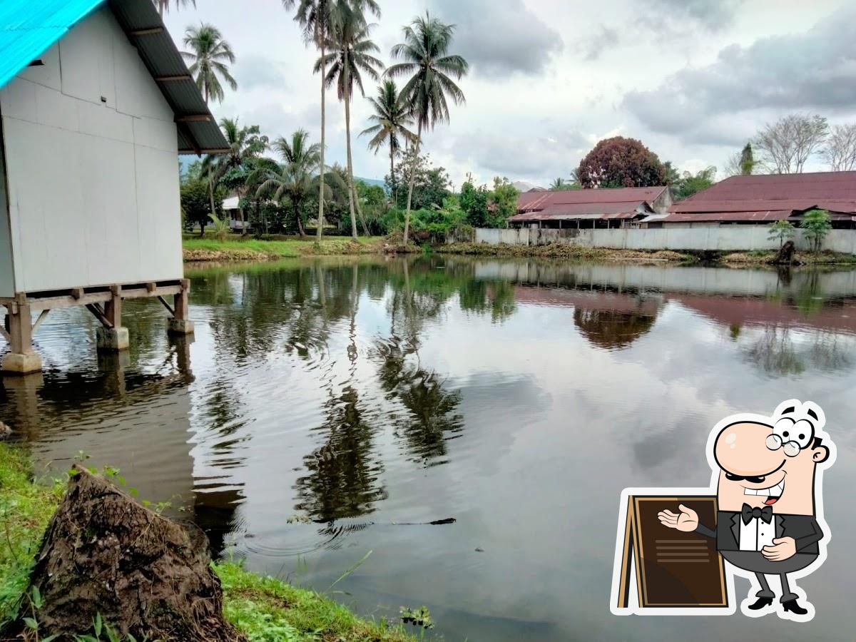 Stevie's fish pond