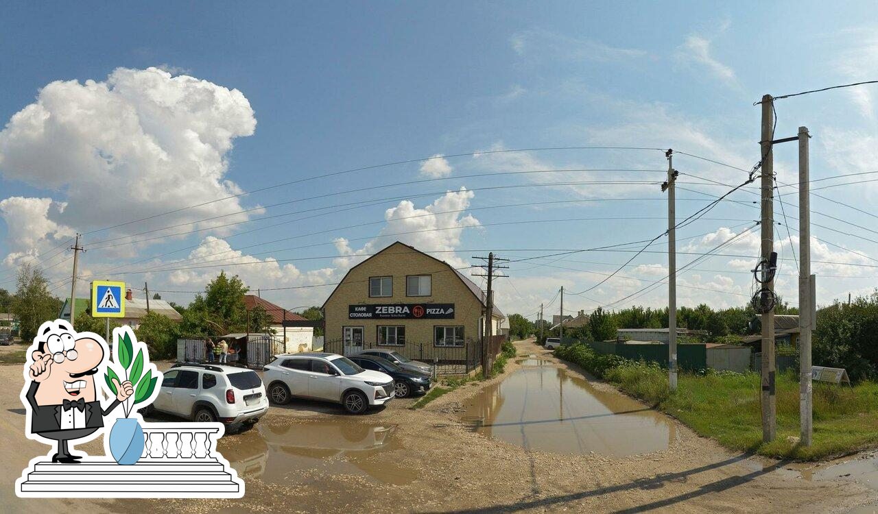 Зебра