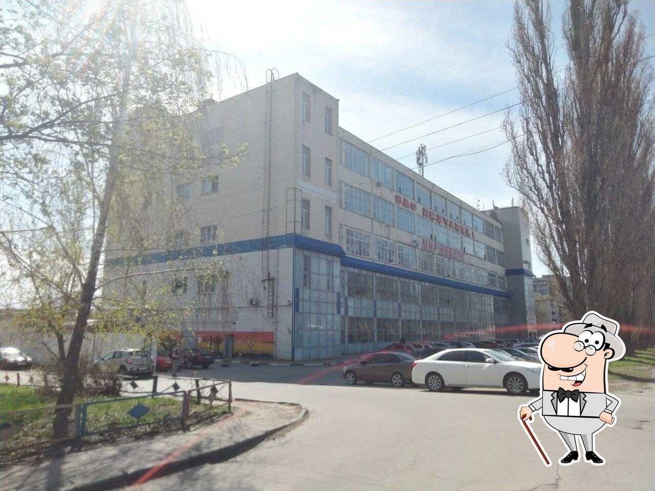 Черный кот