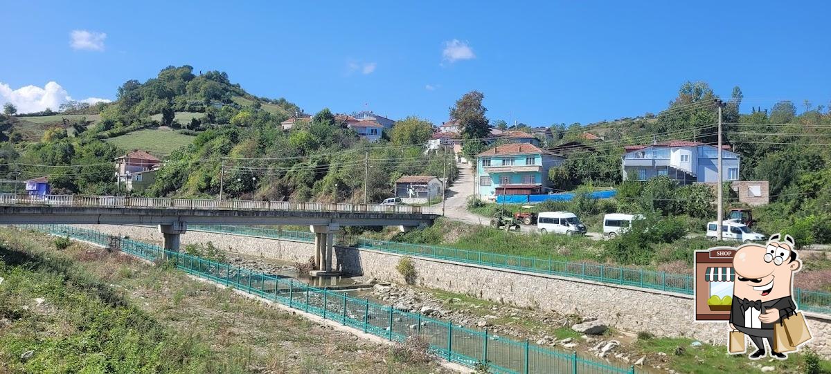 Almanyali Șakir Dayi'nin Yeri