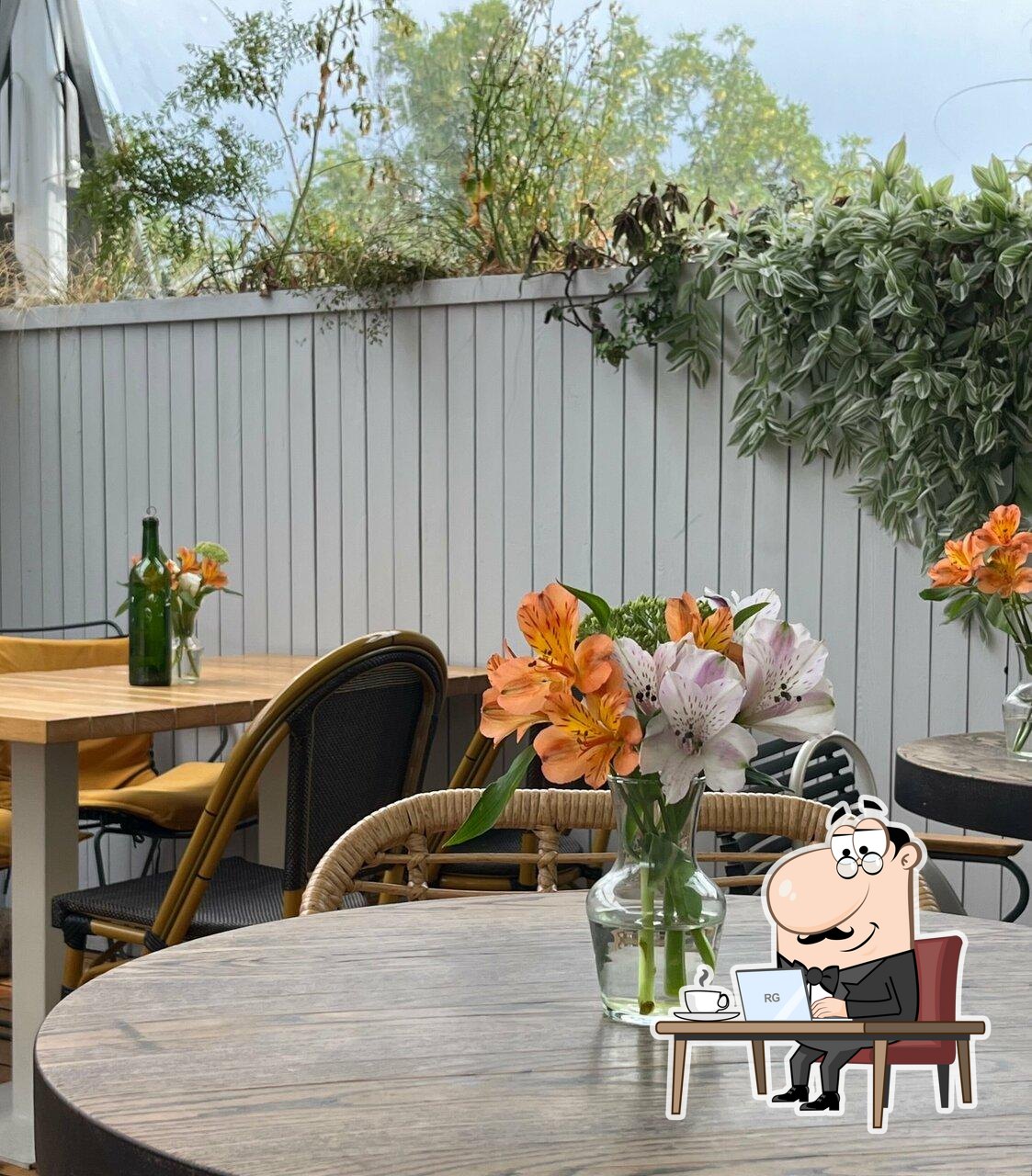 Интерьер "Jungle Garden cafe".