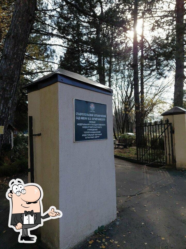 Забронируйте столик в "Green Cafe".