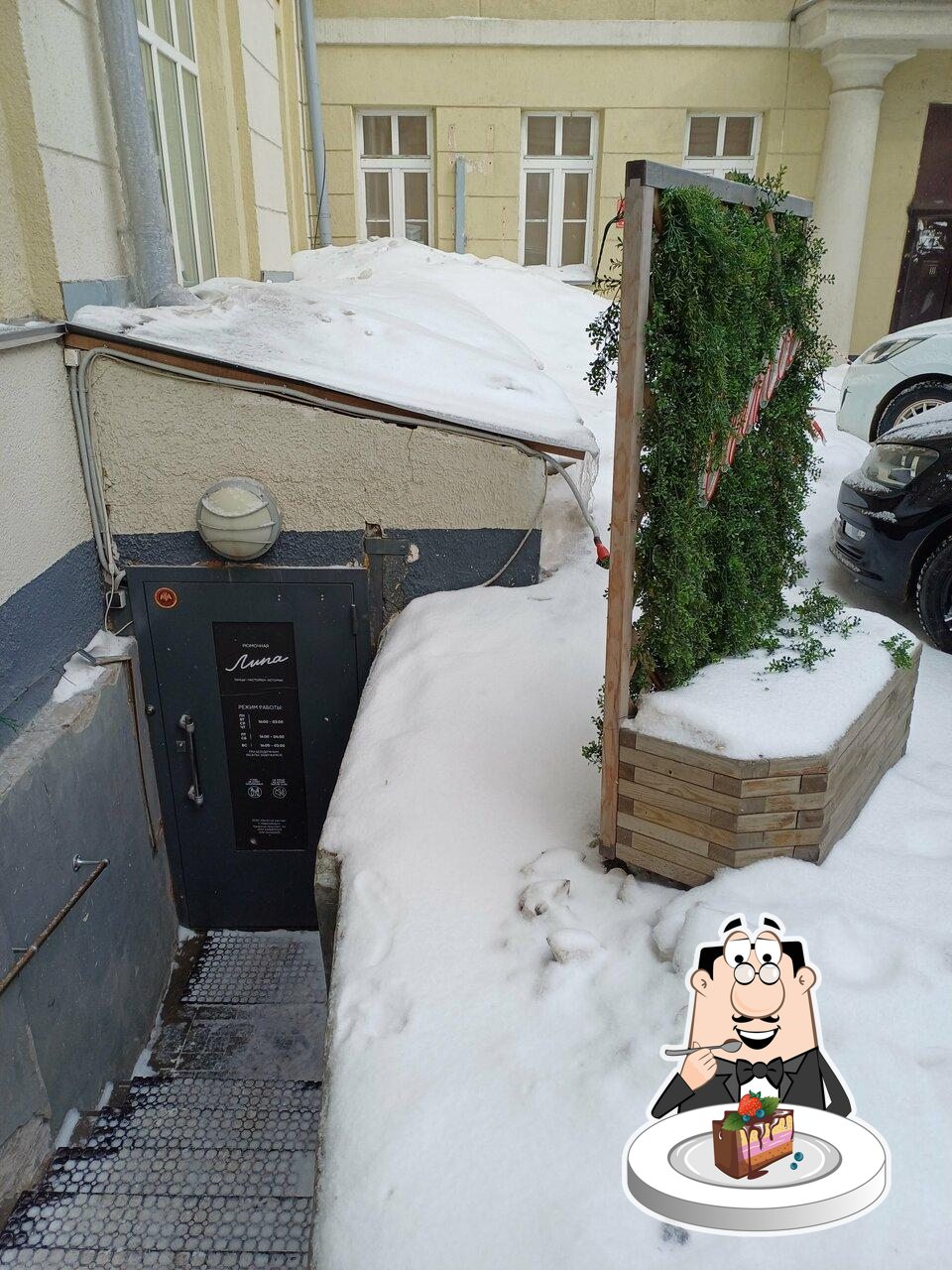 Фотография Липа