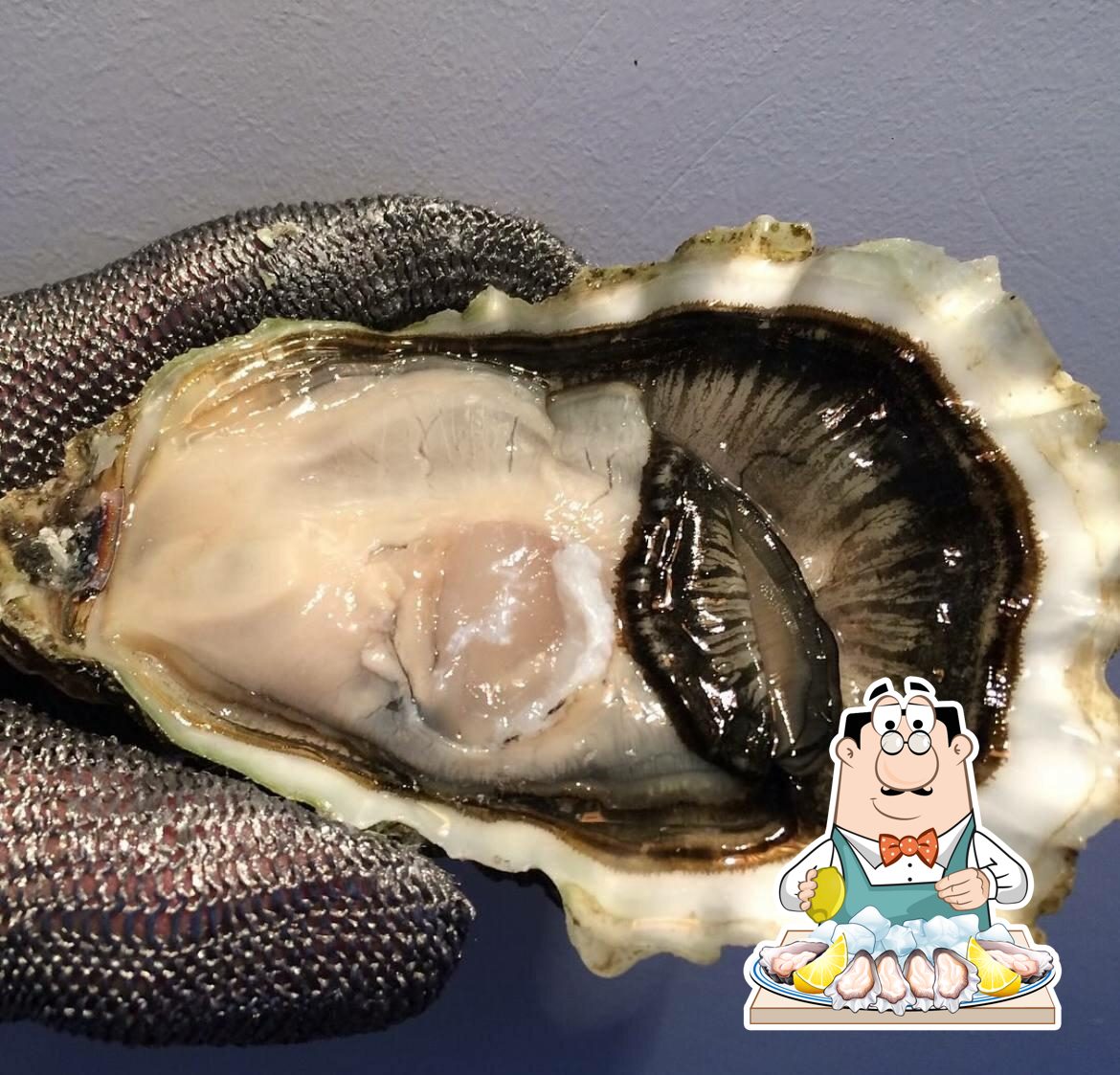 Фотография Oysters