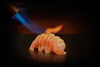 Gold Sushi Club