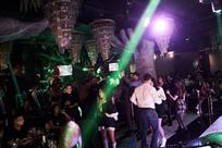 The Jungle