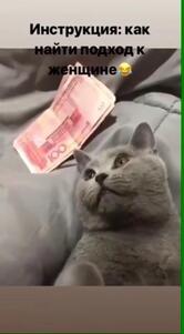 Шаурма