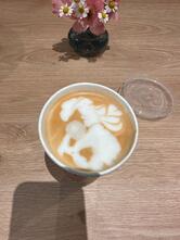 Craft Coffee