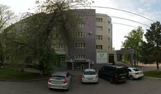 Панда