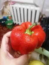 Винтаж