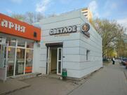 Светлое & Тёмное