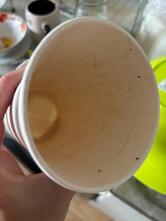 Coffee Lovers