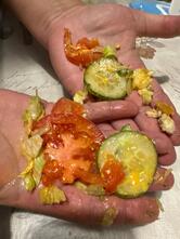 Subjoy