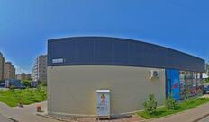 Coffee Goose