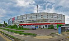 Cesky Lev