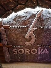 Сорока